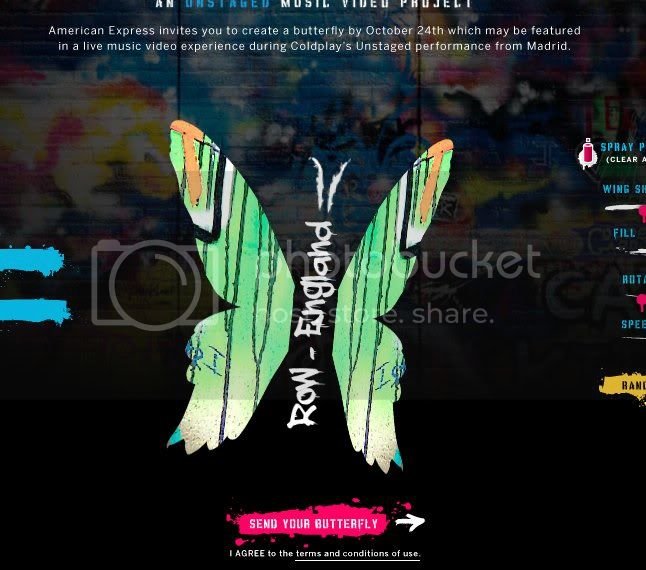 butterfly.jpg
