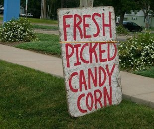 candy-corn-jpg_231535.jpg