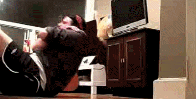 catgifpage52.gif