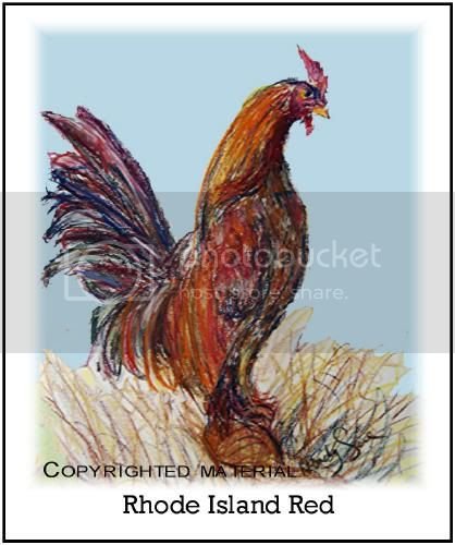 chicken.jpg