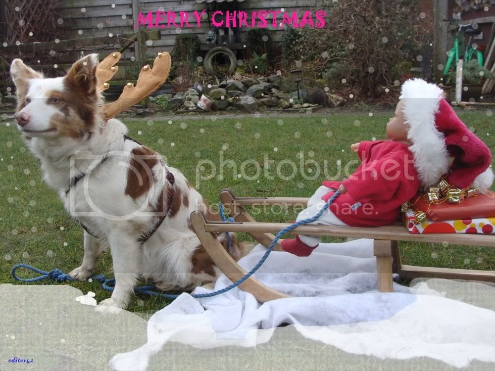 christmas.jpg