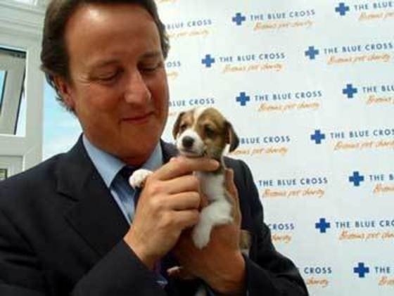 david-cameron-feature.jpg