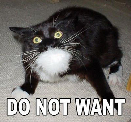 do_not_want_cat.jpg