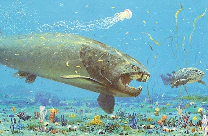 dunkleosteus2.jpg