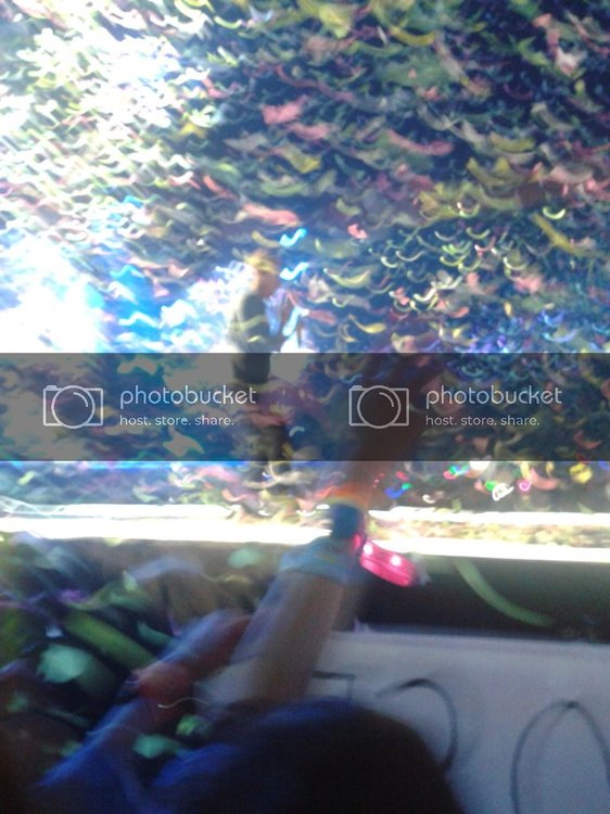 20120919_211404_zps0c6f438b.jpg?t=1348393407