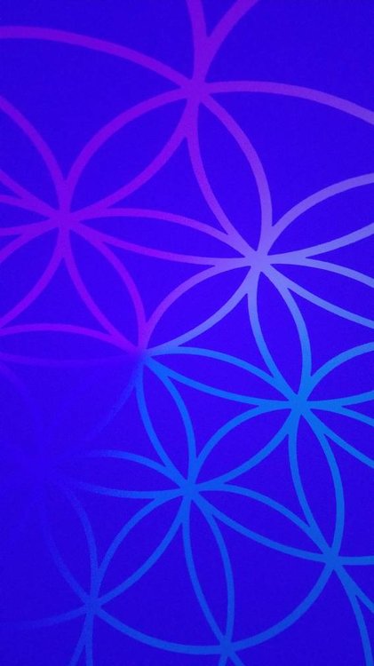 f861583c867587de7e09ae1bee8f6869.jpg