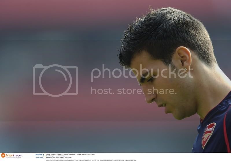 fabregas2fx1.jpg