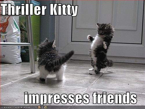 funny-pictures-thriller-kitten-impresses.jpg
