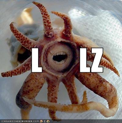 funny_pictures_lol_squid_LOL-s399x400-48058-580.jpg