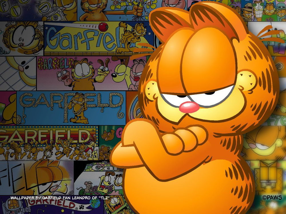 garfield2as8.jpg