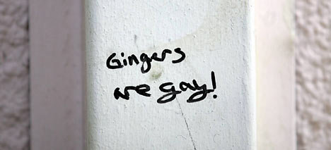 ginger1NNP0106_468x213.jpg