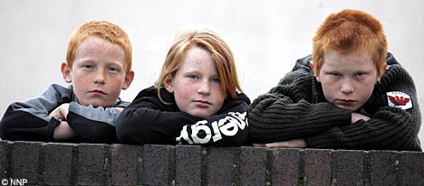 gingerfamilyDM0106_468x206.jpg