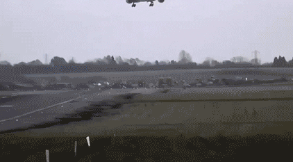 giphy.gif