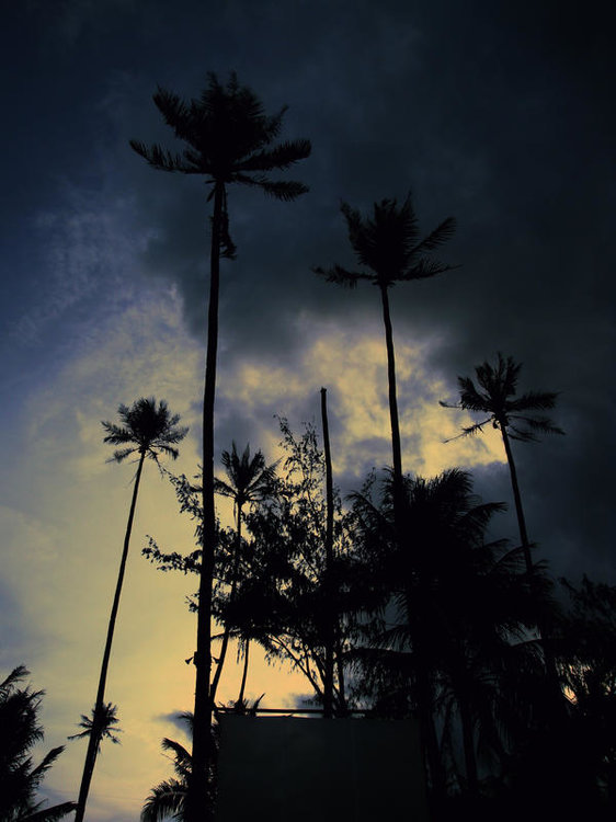 gloom_by_geyl.jpg