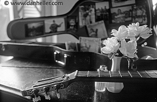 guitar-n-roses-bw-big.jpg