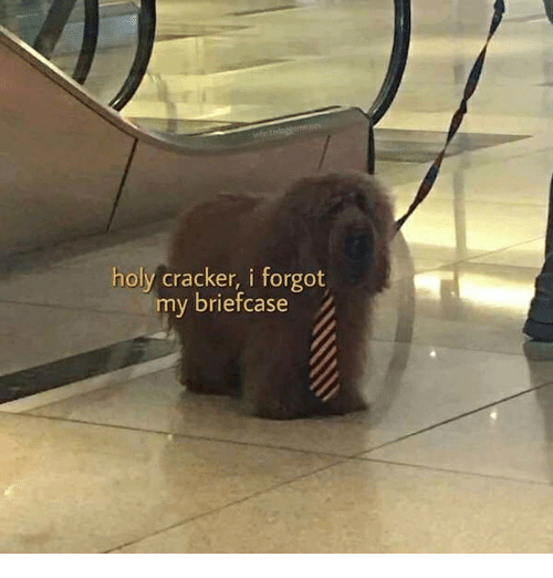 holy-cracker-i-forgot-my-briefcase-33736193.png