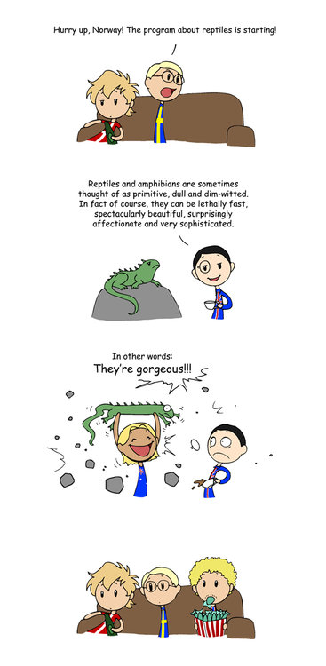 how-to-deal-with-animals.jpg