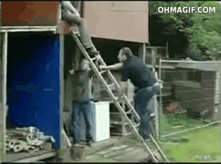 ladder-climbing-fail.gif