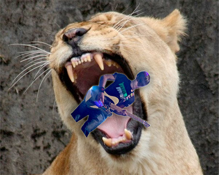 lion452aa.jpg