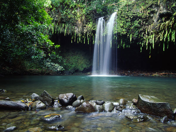 maui-road-to-hana-tour.jpg