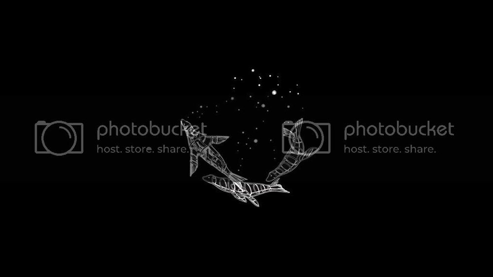 midnight_wall_zpsa8b9f913.jpg