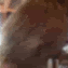 msn4.gif