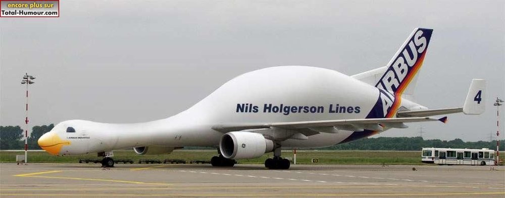 nrzuocvw.jpg