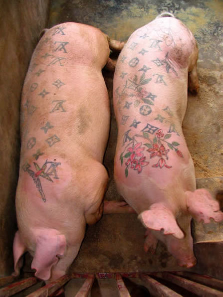 tattooed-pigs.jpg