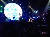 th_IMG_0460.jpg