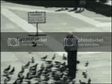 th_Pigeonman.gif