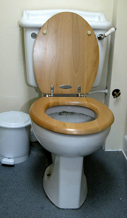 toiletJAY1610_468x804.jpg