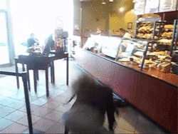 tumblr_inline_mkfu7sE5nR1qz4rgp.gif