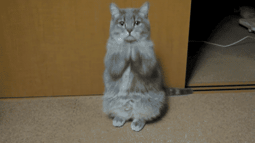 tumblr_inline_mqemzi2D4X1qz4rgp.gif