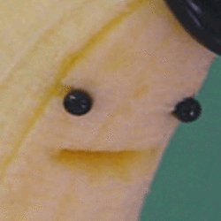 tumblr_inline_mqs2pnzCrn1qz4rgp.gif