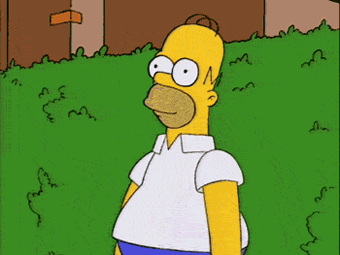 tumblr_inline_mti1n6WKA91rqoqfc.gif