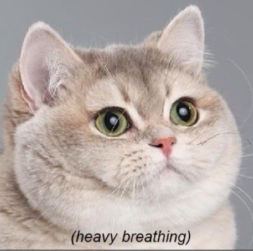 tumblr_inline_n2jifkfZfO1rpr1t4.jpg