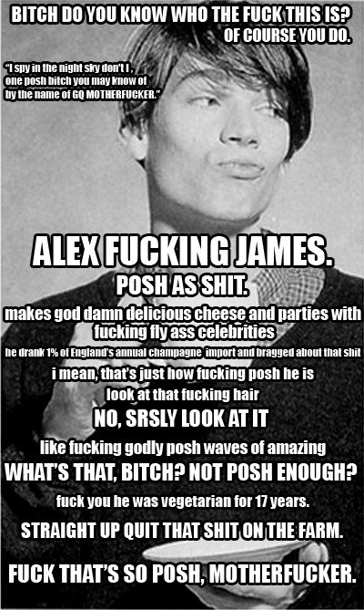 tumblr_l1vqmoZ3cy1qahplio1_500.jpg
