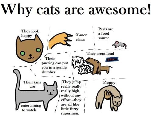 tumblr_l4lxbxLDMC1qzbcawo1_500.jpg
