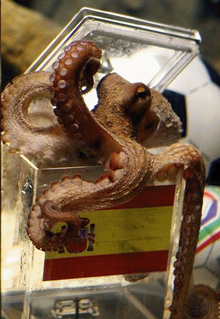 tumblr_l5eyaxVXiA1qzmd3ao1_400.gif