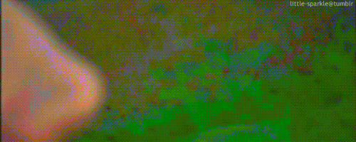 tumblr_l9q8cwvrga1qbdqjmo1_500.gif