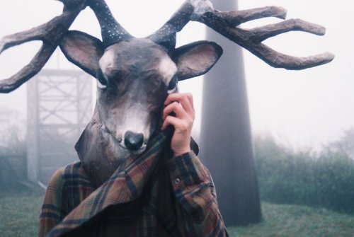 tumblr_lad807ERhd1qb3vuio1_500.jpg