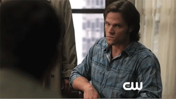 tumblr_lbsxtnrqDB1qa3fwr.gif