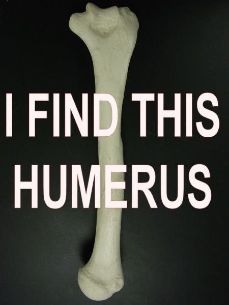 tumblr_lbuve8tIwm1qdvkxfo1_500.jpg