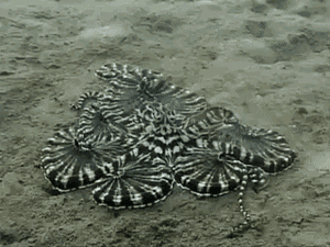 tumblr_lcnd4zhjE21qapyy7o1_400.gif