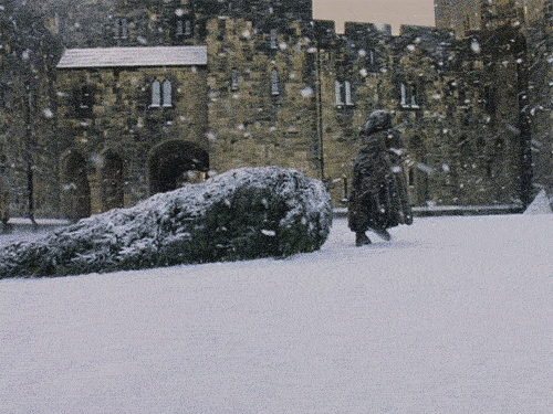 tumblr_lcuvipI8Hq1qdk02ho1_500.gif