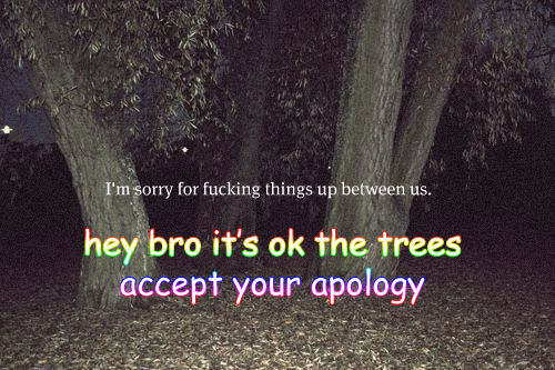 tumblr_lcyby9RC5z1qcoowuo1_500.jpg