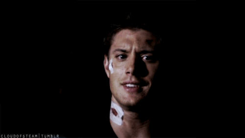 tumblr_ld8k6kD6xw1qalcu6o1_500.gif