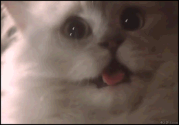 tumblr_ldepdz56Tp1qbijhj.gif