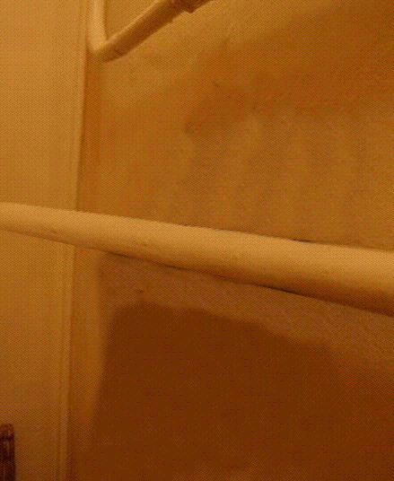 tumblr_lds6jpH9oY1qf0psvo1_500.gif