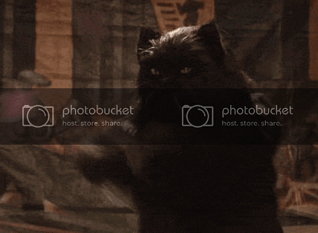 tumblr_lek66vO3uo1qakx30.gif